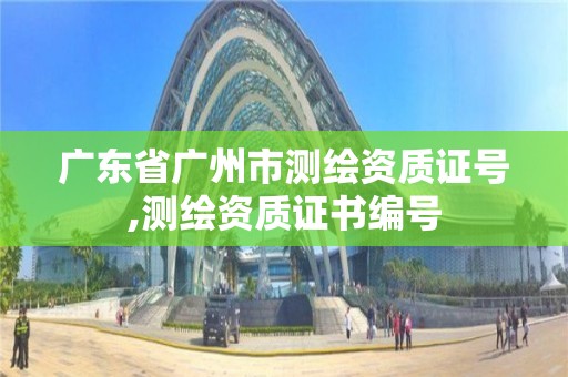 廣東省廣州市測繪資質證號,測繪資質證書編號