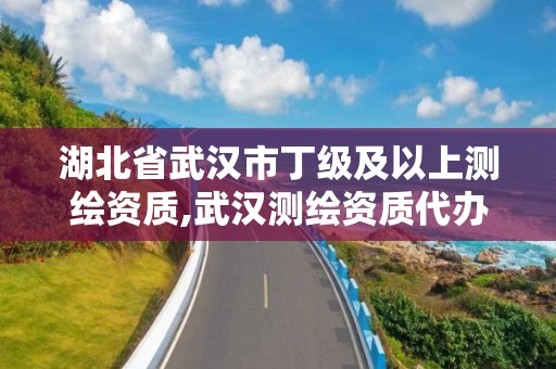 湖北省武漢市丁級及以上測繪資質,武漢測繪資質代辦