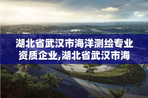 湖北省武漢市海洋測繪專業資質企業,湖北省武漢市海洋測繪專業資質企業有哪些