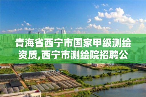 青海省西寧市國家甲級測繪資質(zhì),西寧市測繪院招聘公示