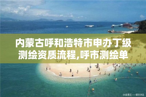 內蒙古呼和浩特市申辦丁級測繪資質流程,呼市測繪單位