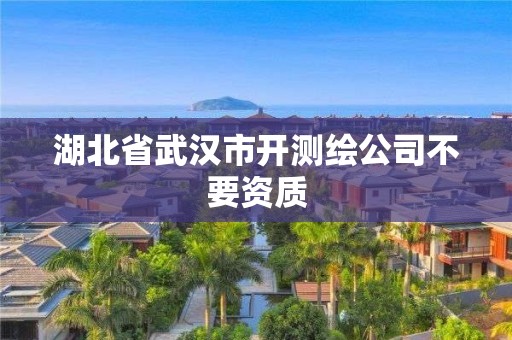 湖北省武漢市開測繪公司不要資質