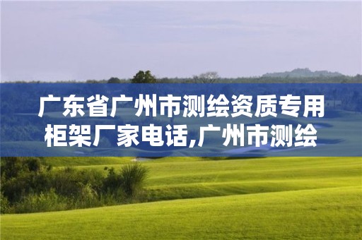 廣東省廣州市測(cè)繪資質(zhì)專用柜架廠家電話,廣州市測(cè)繪產(chǎn)品質(zhì)量檢驗(yàn)中心。