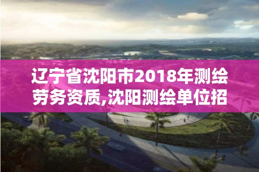 遼寧省沈陽市2018年測繪勞務資質,沈陽測繪單位招聘