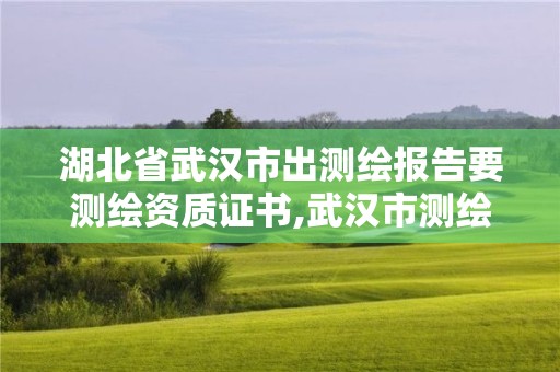 湖北省武漢市出測(cè)繪報(bào)告要測(cè)繪資質(zhì)證書,武漢市測(cè)繪工程技術(shù)規(guī)定