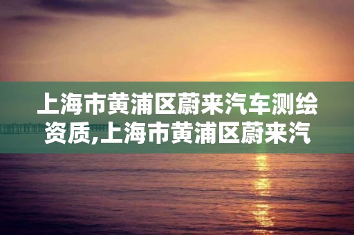 上海市黃浦區蔚來汽車測繪資質,上海市黃浦區蔚來汽車測繪資質查詢