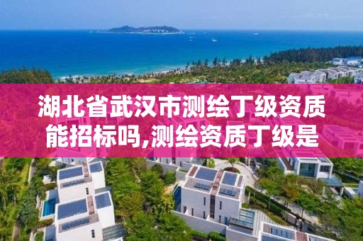 湖北省武漢市測繪丁級資質能招標嗎,測繪資質丁級是什么意思