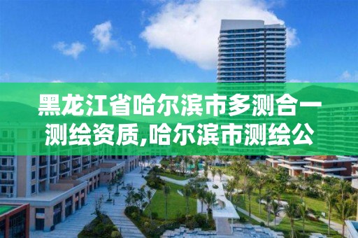 黑龍江省哈爾濱市多測合一測繪資質(zhì),哈爾濱市測繪公司。