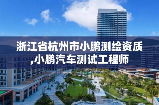 浙江省杭州市小鵬測繪資質,小鵬汽車測試工程師