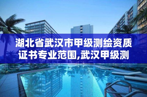 湖北省武漢市甲級測繪資質證書專業范圍,武漢甲級測繪資質名錄。