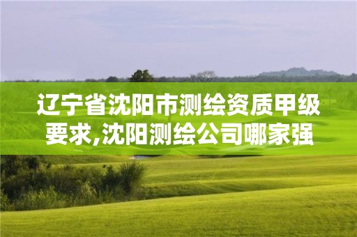 遼寧省沈陽(yáng)市測(cè)繪資質(zhì)甲級(jí)要求,沈陽(yáng)測(cè)繪公司哪家強(qiáng)哪家好