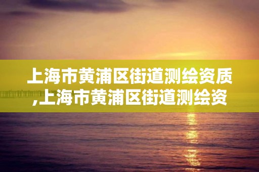 上海市黃浦區街道測繪資質,上海市黃浦區街道測繪資質企業名單