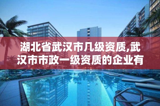 湖北省武漢市幾級資質,武漢市市政一級資質的企業有哪些。