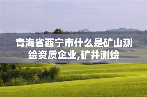 青海省西寧市什么是礦山測繪資質企業,礦井測繪