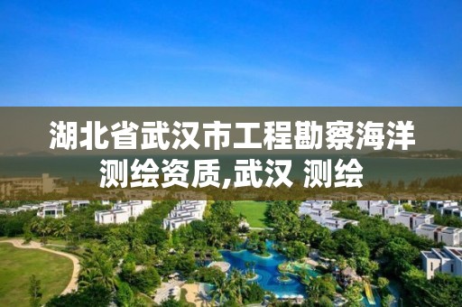 湖北省武漢市工程勘察海洋測繪資質,武漢 測繪