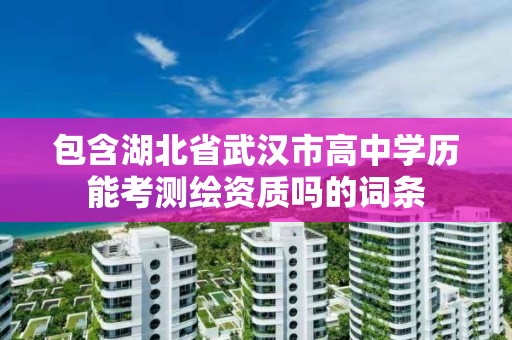 包含湖北省武漢市高中學歷能考測繪資質嗎的詞條