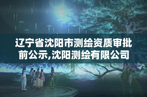 遼寧省沈陽市測繪資質審批前公示,沈陽測繪有限公司