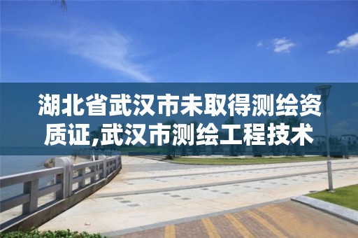 湖北省武漢市未取得測繪資質證,武漢市測繪工程技術規定