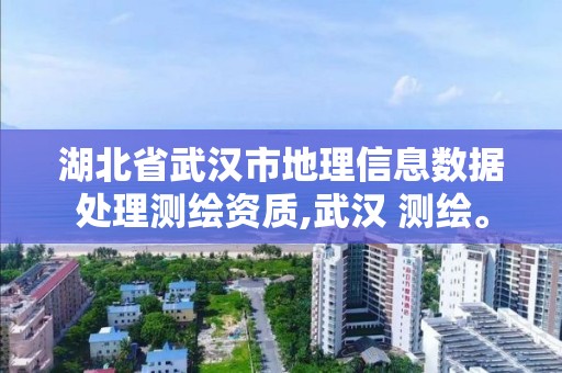 湖北省武漢市地理信息數據處理測繪資質,武漢 測繪。