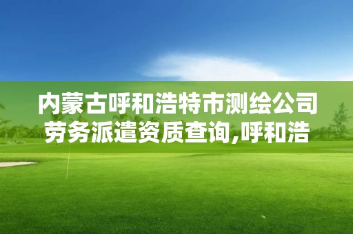 內蒙古呼和浩特市測繪公司勞務派遣資質查詢,呼和浩特市工程測量招聘信息