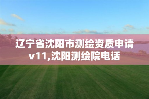 遼寧省沈陽市測繪資質申請v11,沈陽測繪院電話