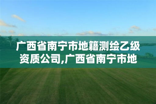 廣西省南寧市地籍測繪乙級資質公司,廣西省南寧市地籍測繪乙級資質公司有哪些。