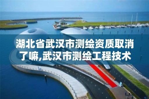 湖北省武漢市測繪資質取消了嘛,武漢市測繪工程技術規定