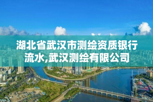 湖北省武漢市測繪資質(zhì)銀行流水,武漢測繪有限公司