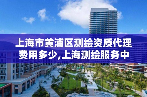 上海市黃浦區測繪資質代理費用多少,上海測繪服務中心