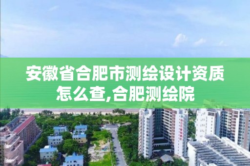 安徽省合肥市測繪設計資質怎么查,合肥測繪院