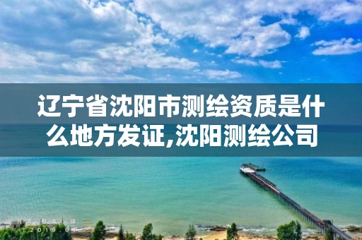 遼寧省沈陽市測繪資質是什么地方發證,沈陽測繪公司招聘信息最新招聘。