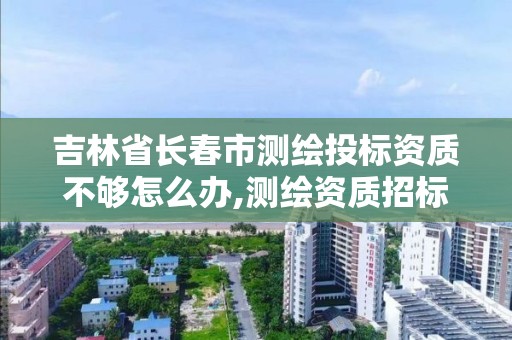 吉林省長春市測繪投標資質不夠怎么辦,測繪資質招標時如何設置。