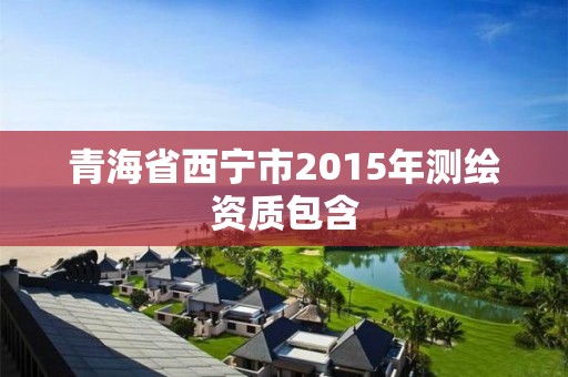 青海省西寧市2015年測(cè)繪資質(zhì)包含