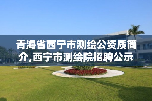 青海省西寧市測繪公資質簡介,西寧市測繪院招聘公示