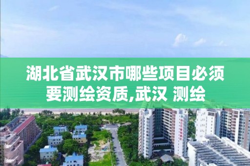 湖北省武漢市哪些項目必須要測繪資質,武漢 測繪