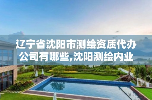 遼寧省沈陽市測繪資質代辦公司有哪些,沈陽測繪內業招聘信息。