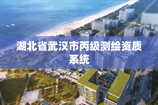 湖北省武漢市丙級測繪資質系統