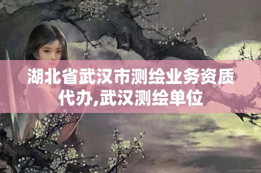 湖北省武漢市測(cè)繪業(yè)務(wù)資質(zhì)代辦,武漢測(cè)繪單位