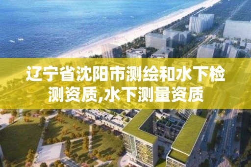 遼寧省沈陽市測繪和水下檢測資質,水下測量資質