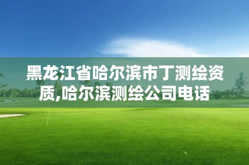 黑龍江省哈爾濱市丁測繪資質,哈爾濱測繪公司電話