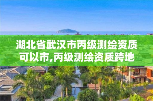 湖北省武漢市丙級測繪資質(zhì)可以市,丙級測繪資質(zhì)跨地市