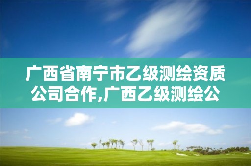 廣西省南寧市乙級測繪資質公司合作,廣西乙級測繪公司名單