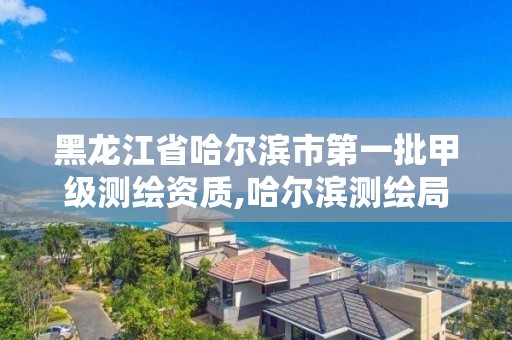 黑龍江省哈爾濱市第一批甲級測繪資質,哈爾濱測繪局招聘。