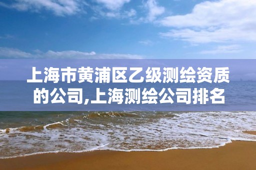 上海市黃浦區乙級測繪資質的公司,上海測繪公司排名名單