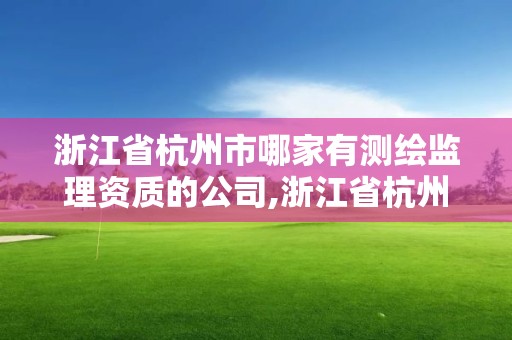 浙江省杭州市哪家有測繪監理資質的公司,浙江省杭州市哪家有測繪監理資質的公司