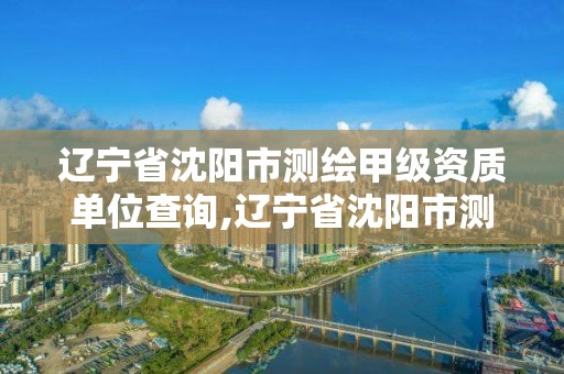 遼寧省沈陽市測繪甲級資質單位查詢,遼寧省沈陽市測繪甲級資質單位查詢表