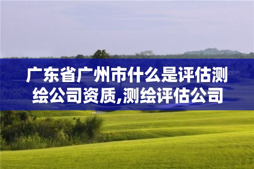 廣東省廣州市什么是評估測繪公司資質(zhì),測繪評估公司是做什么的