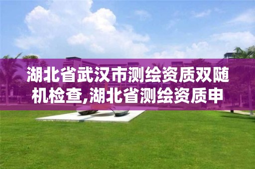 湖北省武漢市測繪資質雙隨機檢查,湖北省測繪資質申請