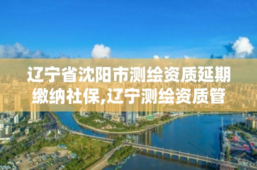 遼寧省沈陽市測繪資質延期繳納社保,遼寧測繪資質管理系統登錄