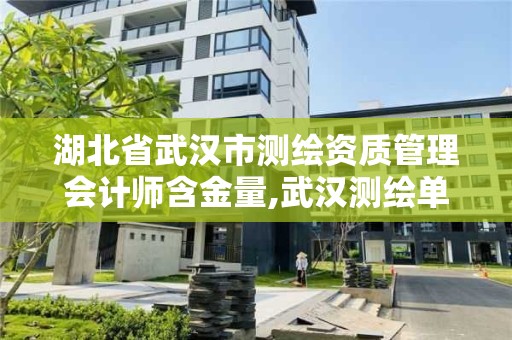 湖北省武漢市測繪資質管理會計師含金量,武漢測繪單位。